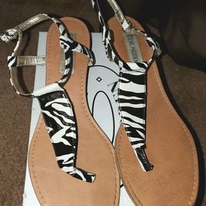 Steve Madden P-Kavoy Zebra sandals